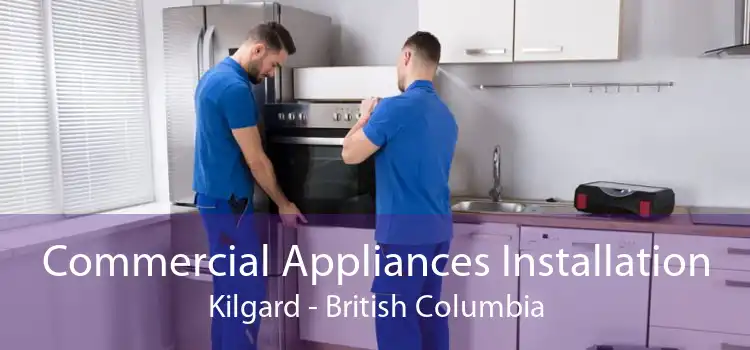 Commercial Appliances Installation Kilgard - British Columbia