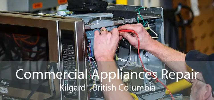 Commercial Appliances Repair Kilgard - British Columbia