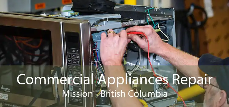 Commercial Appliances Repair Mission - British Columbia
