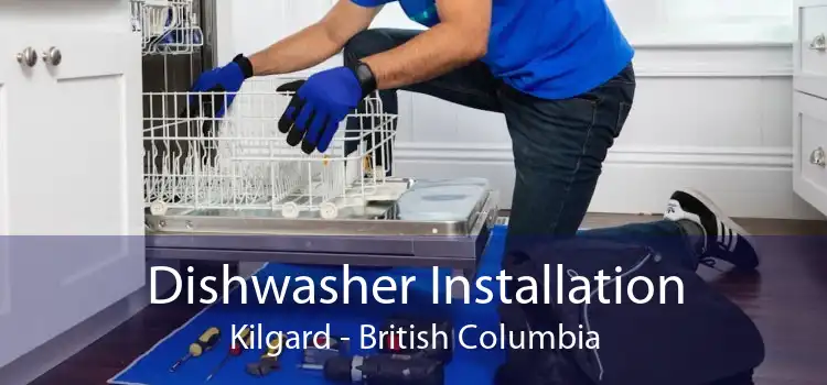 Dishwasher Installation Kilgard - British Columbia