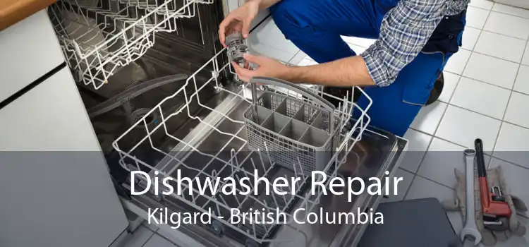 Dishwasher Repair Kilgard - British Columbia