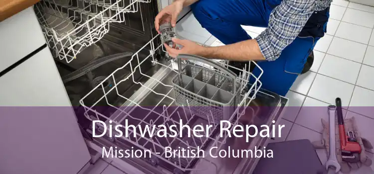 Dishwasher Repair Mission - British Columbia