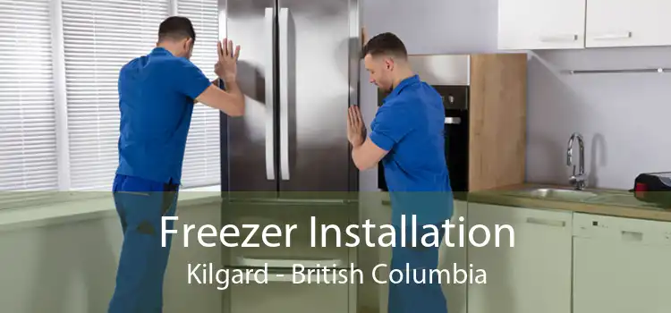 Freezer Installation Kilgard - British Columbia
