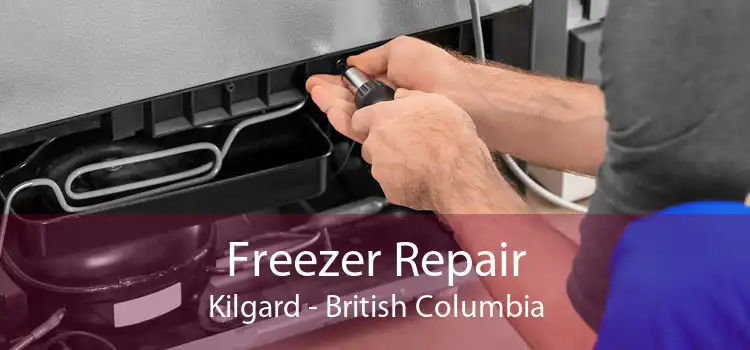 Freezer Repair Kilgard - British Columbia