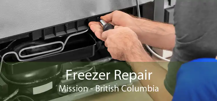 Freezer Repair Mission - British Columbia