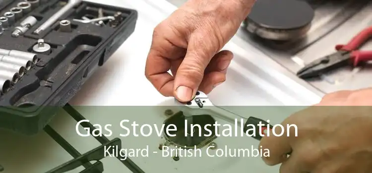 Gas Stove Installation Kilgard - British Columbia