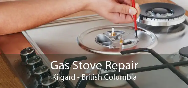Gas Stove Repair Kilgard - British Columbia
