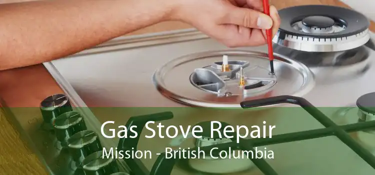 Gas Stove Repair Mission - British Columbia