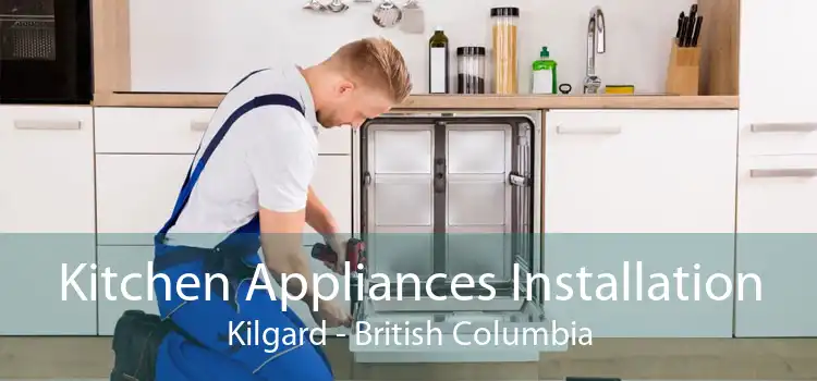 Kitchen Appliances Installation Kilgard - British Columbia