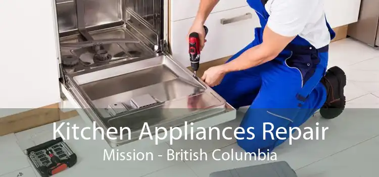 Kitchen Appliances Repair Mission - British Columbia