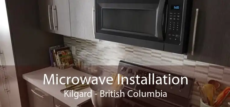Microwave Installation Kilgard - British Columbia