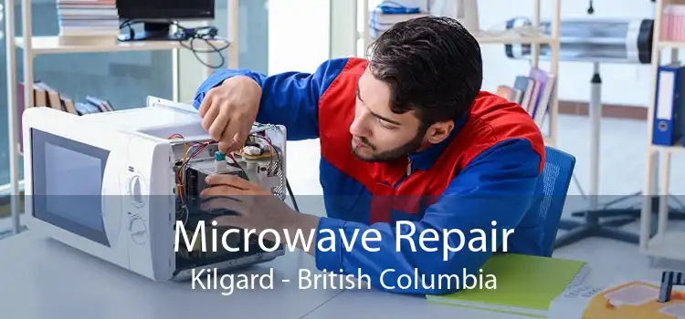 Microwave Repair Kilgard - British Columbia