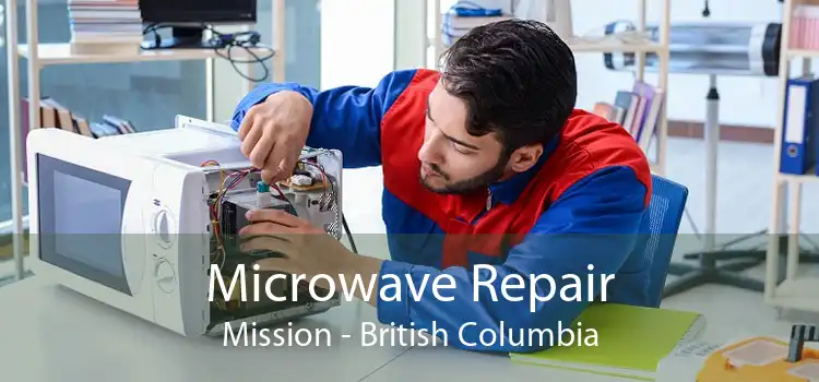Microwave Repair Mission - British Columbia