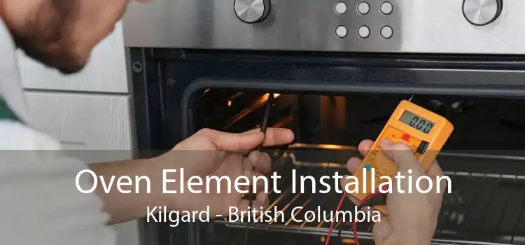 Oven Element Installation Kilgard - British Columbia