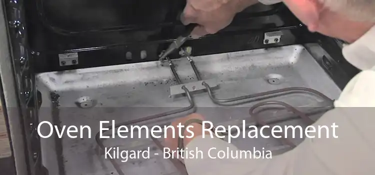 Oven Elements Replacement Kilgard - British Columbia