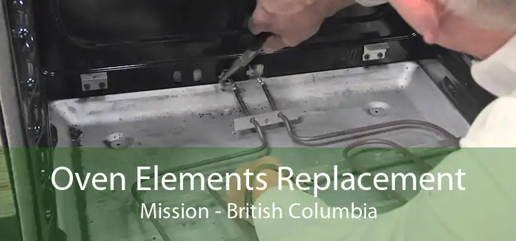 Oven Elements Replacement Mission - British Columbia