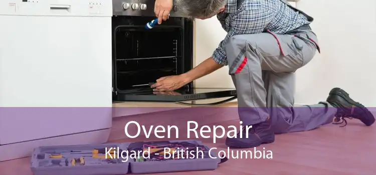Oven Repair Kilgard - British Columbia