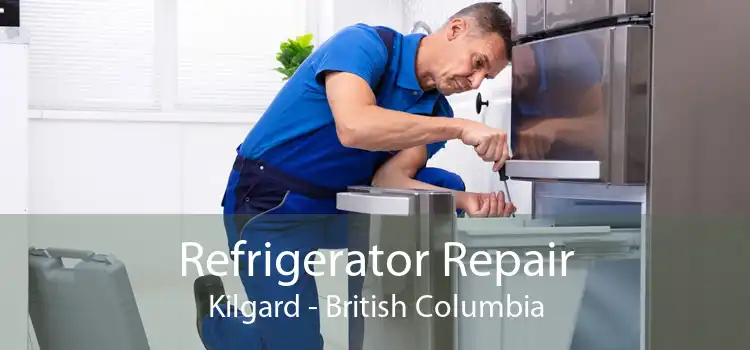 Refrigerator Repair Kilgard - British Columbia