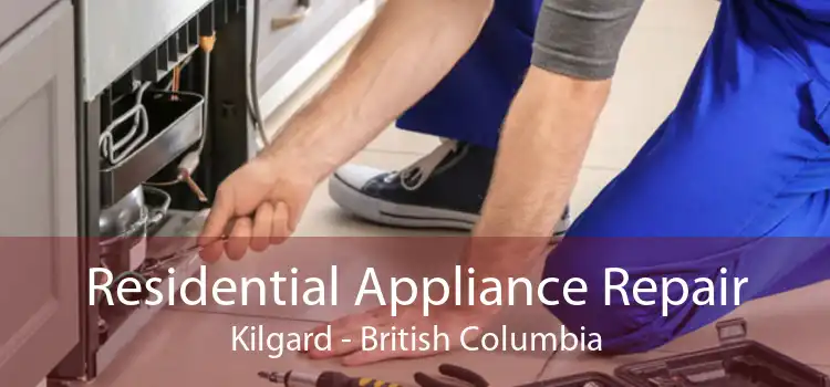 Residential Appliance Repair Kilgard - British Columbia