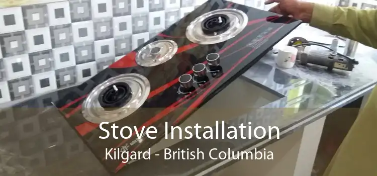 Stove Installation Kilgard - British Columbia