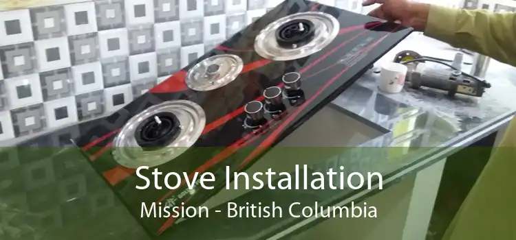 Stove Installation Mission - British Columbia
