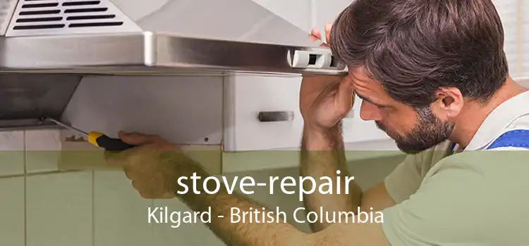 stove-repair Kilgard - British Columbia