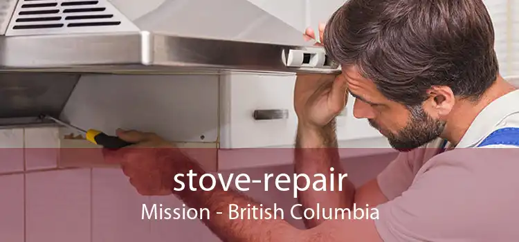 stove-repair Mission - British Columbia