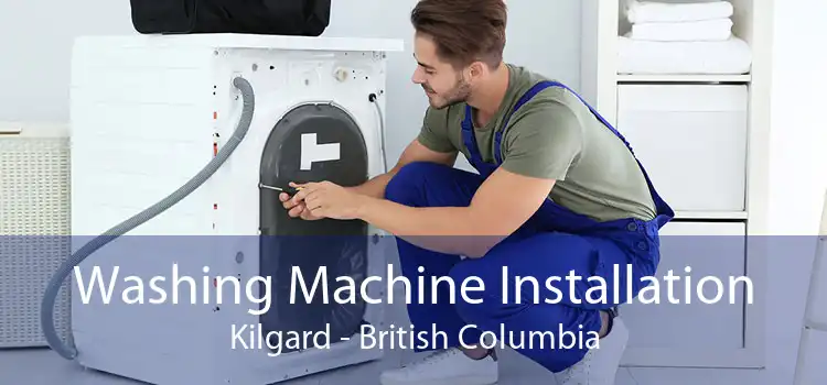 Washing Machine Installation Kilgard - British Columbia