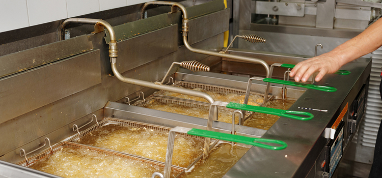 AEG Commercial Fryer Repair in Abbotsford