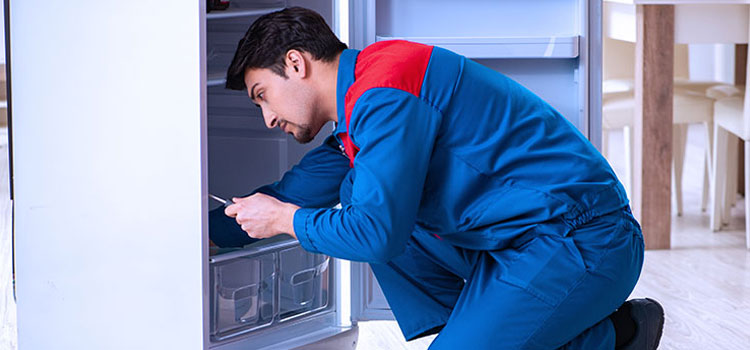 AEG Freezer Repair Services in Abbotsford